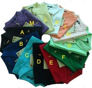 lots of 10pcs ralph lauren small pony polo shirt-- USD125.00 freeship.