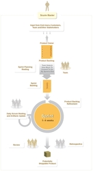 Agile Scrum Development Methodology by Scrum Master in India