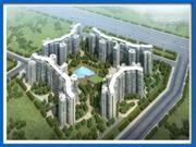 Amrapali Pan Oasis Noida 9999684905