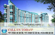 Commercial Office Space Sunshine Business Park In Noida 