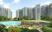 Amrapali Pan Oasis Noida Sector 70 – 4 Bhk flats 2425 Sq.Ft. For sale 