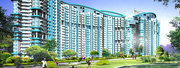 Amrapali Crystal Homes,  3BHK Apts Noida @ 9999998662 