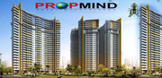 1860 Sq.ft. Skytech Colours Avenue flats in Greater Noida