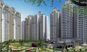 2340 Sq.ft. Skytech Colours Avenue flats at sector 10 Noida Extension