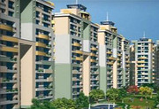 Luxurious Flats for Sale in Gaur Sports Wood at 73.92 Lacs