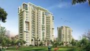 3 Bhk Palm Garden Apartments for Sale