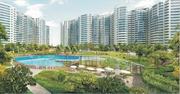 Amrapali Pan Oasis 2/3/4 BHK Flat Available for Resale Sector 70 Noida