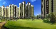 Amrapali Dream Valley Noida Extension - 9582890000