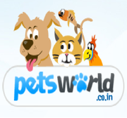 Bumper offer on branded Pedigree dog food in Delhi & NCR