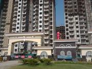 Amrapali Silicon City Sector 76 Noida  Housing Project
