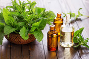  Organic Essential Oils and High Quality Mint Products 