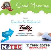 Accounting,  Tally,  Excutive Professional Tally Training in Lucknow Ind