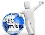 Get the SEO Plans of your choices and relish the ranking.