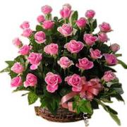 Same Day Flower Delivery in Noida