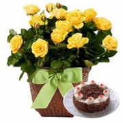 Buy Online Cake and Flower Combo