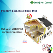 100% Natural Pest Control Services in Indirapuram from Godrej Pest Con