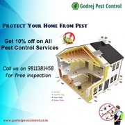 Get 10% OFF on all Pest Control Services from Godrej Pest Control