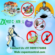 Best Pest Control Noida,  Greater Noida Service Call 9899176888