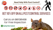 Discount-10% OFF on all Pest Control Services Contact Godrej Pest Cont