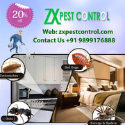 Pest Control Termite Treatment in Noida Call 9899176888