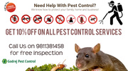Flat 10% OFF on all Pest Control Services -Contact Godrej Pest Control