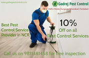 10% OFF on all Pest Control Services in Noida,  Delhi NCR-GPC-981138145