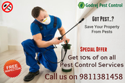 Got Pest..?  Get Quality Pest Control Services at FLAT 10% Discount