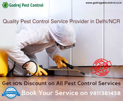 FLAT 10% OFF on all Pest Control Treatments-9811381458