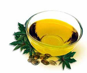 Essential Natural Oils,  Natural Mint Products,  Flavors and Fragrances