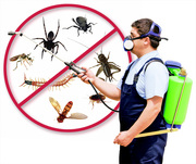 Pest control treatment services. Govt. Approved pest control provide