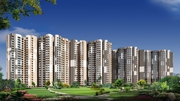Gaur City | Ready To Move Flats | Noida Extension,  8447146146