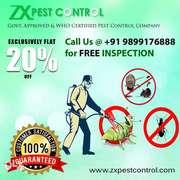 ZX Pest Control Offering “20% off On All Services”