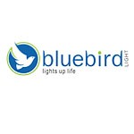 BLUEBIRD Brand Product Dealer Supplier Distributor in India – Toolwale