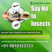 Let’s Start Get 20% Discount Pest Control In Delhi | South Delhi