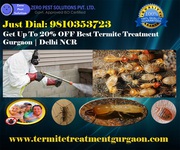 Discount Up to 20% Termite Treatment Gurgaon | Termite Control