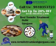 Outstanding Services Provider In Termite Treatment Gurgaon & Delhi/NCR