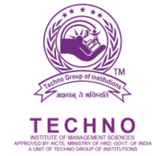 Techno Institute of Management Sciences