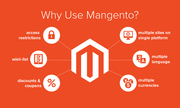 Magento Website Development Company Noida,  India