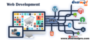 website development in Noida
