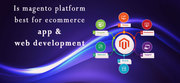 What is Magento? Explain By Redial India Solutions.