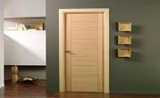 Find Here Leading Flush Door Suppliers in India