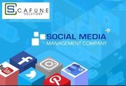 Best Social Media Optimization Services by Cafune Solutions