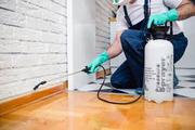 Get Best Pest control Services in Noida- Care Maintenance Services