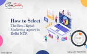 Digital Marketing Services in Delhi/NCR