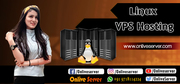 The Most Relevant and Qualified Linux VPS with Onlive Server