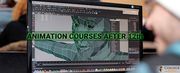 Animation Courses After 12th | College Disha