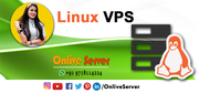 Shape your Business by Linux VPS Hosting - Onlive Server