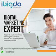 Digital Marketing Expert In Aligarh