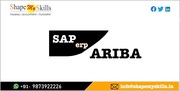 SAP Ariba Online Training In Noida