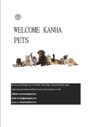 Dogs and cats available for sale